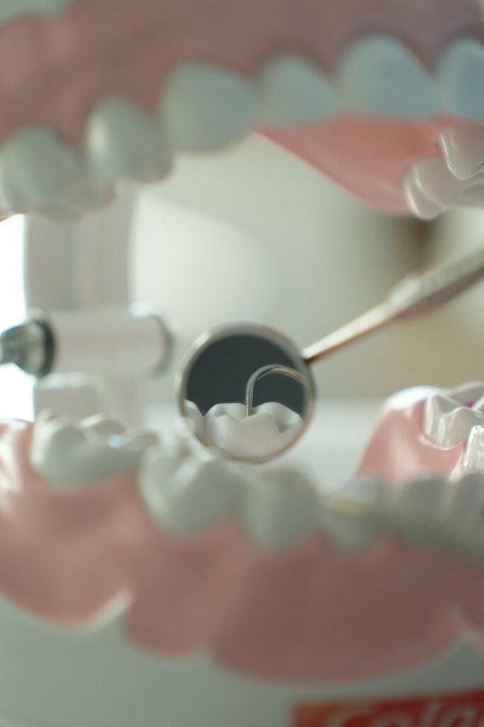 Close-up view of dental tools and model teeth, used for dental education and practice.